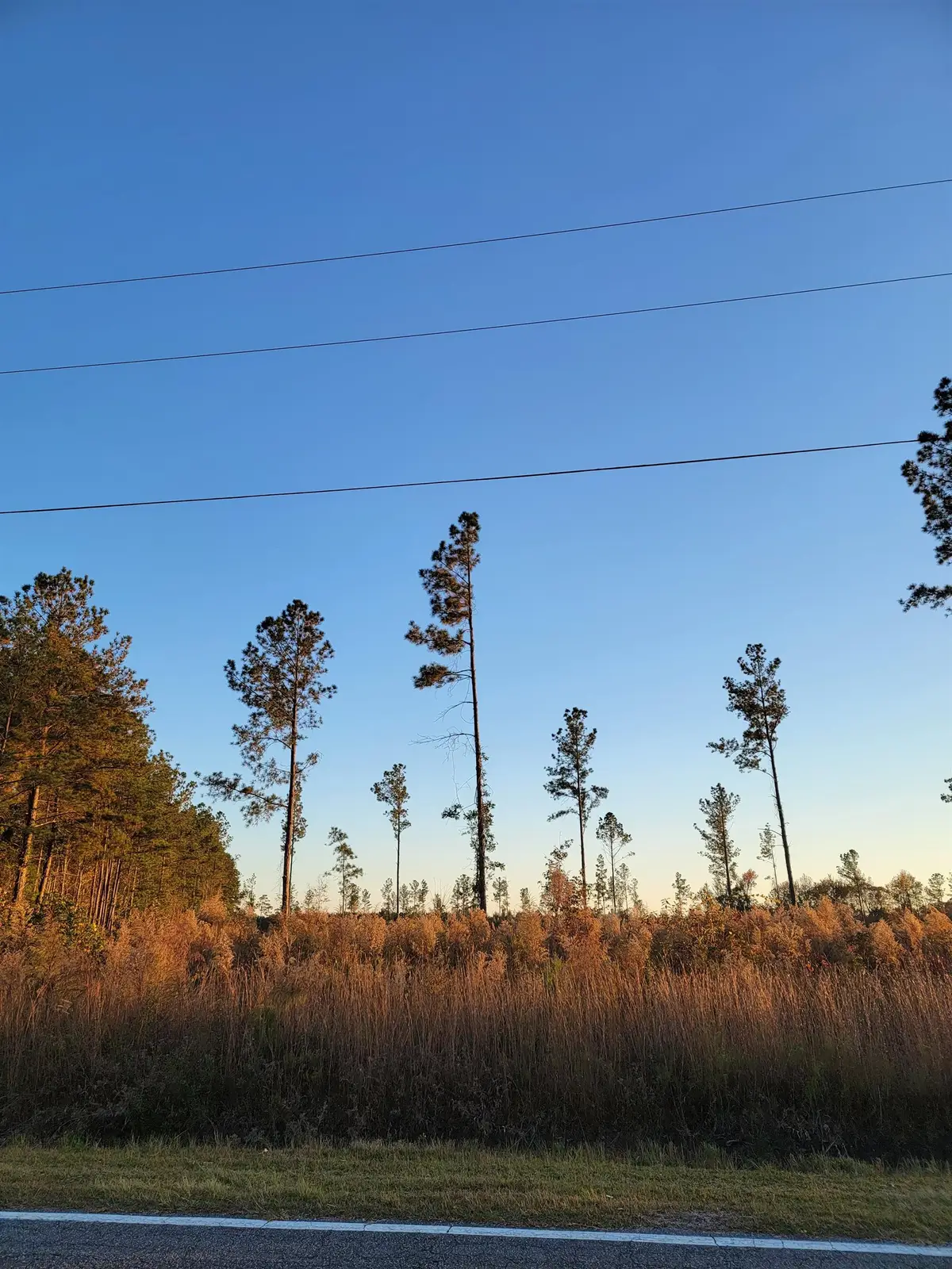 630 Hulls Island Rd., Loris, SC 29569 - #1