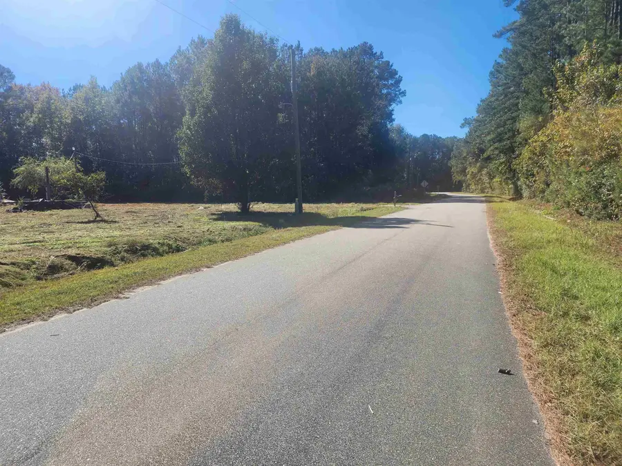 3357 Blain Ln., Conway, SC 29527 - #2