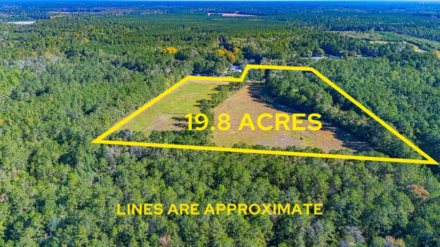 3988 Wright Rd., Loris, SC 29569 - #2