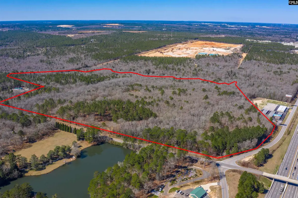 442 Savany Hunt Creek Road, Gaston, SC 29053 - Image #1
