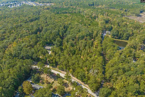 1335 Fulmer Road, Blythewood, SC 29016