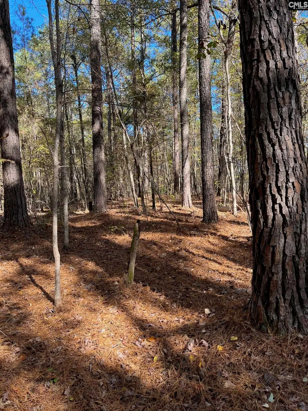 142 Monteith Road, Blythewood, SC 29016 - Image #1