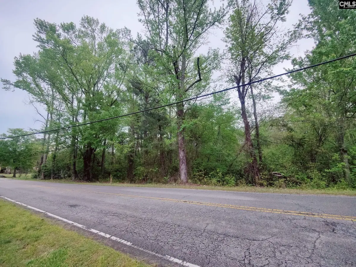Mineral Springs Road, Lexington, SC 29073 - Image #1