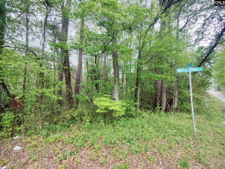 Mineral Springs Road, Lexington, SC 29073 - Image #2