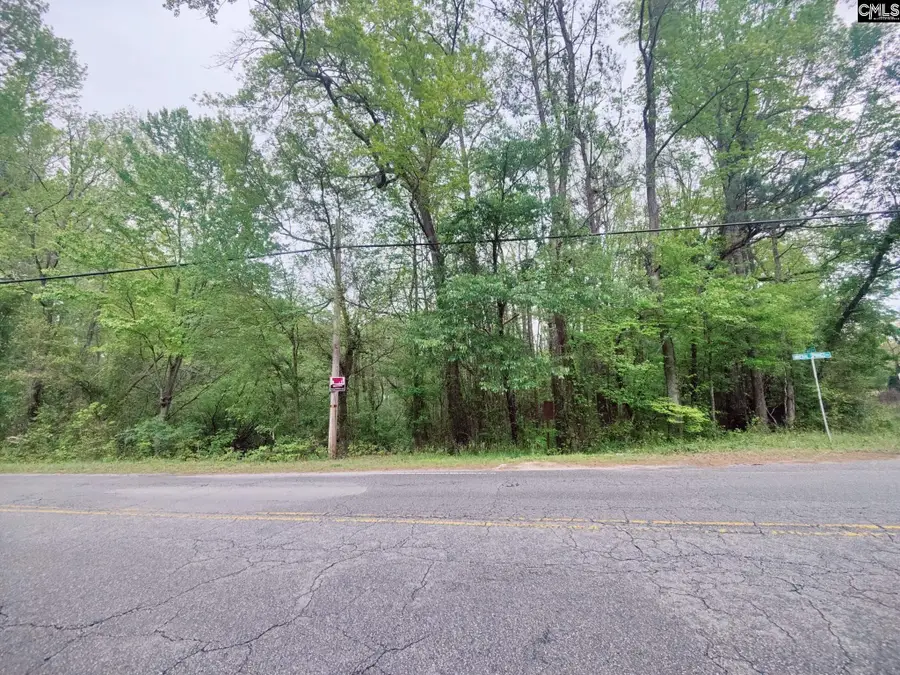 Mineral Springs Road, Lexington, SC 29073 - Image #3