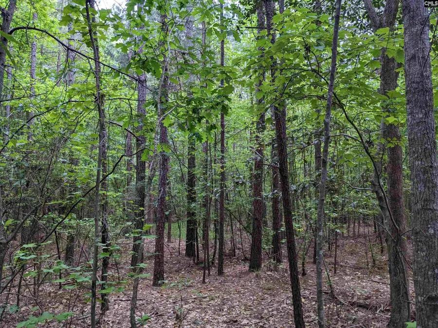 489 Syrup Mill Road, Ridgeway, SC 29130 - Image #2