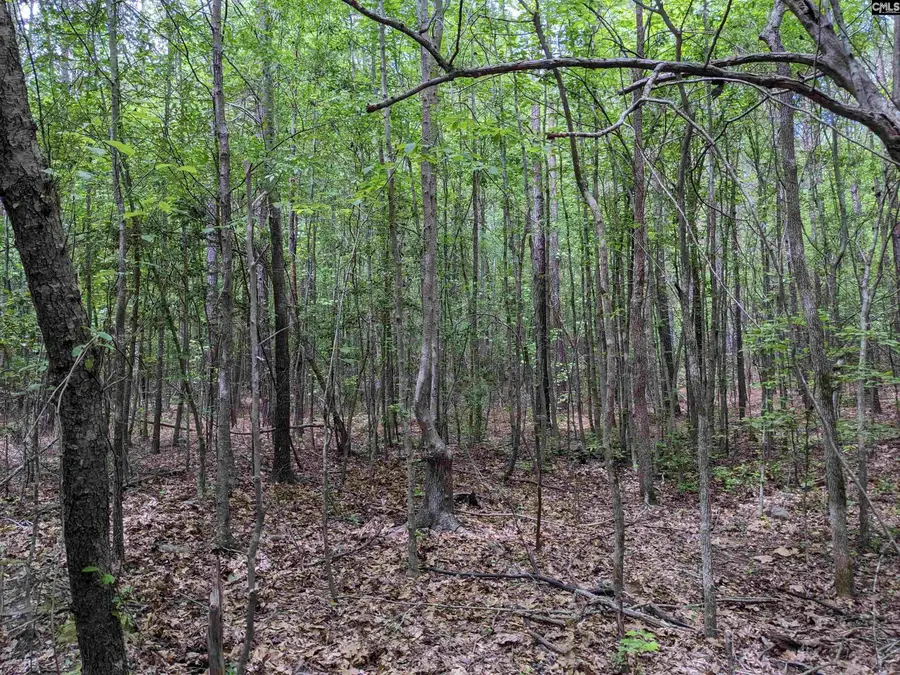 489 Syrup Mill Road, Ridgeway, SC 29130 - Image #3