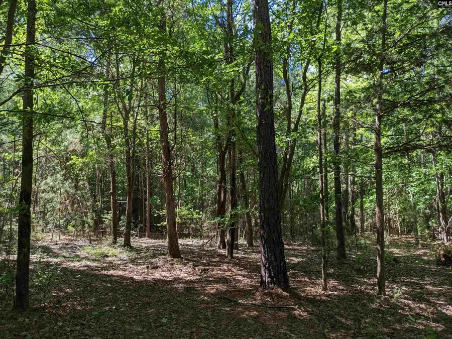 0 Minger Road, Blythewood, SC 29016 - Image #3
