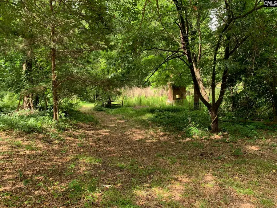 436 Peach Festival Road, Gilbert, SC 29054 - Image #2