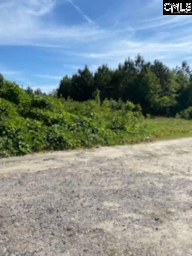 0 Hwy 321, Gaston, SC 29053 - Image #1