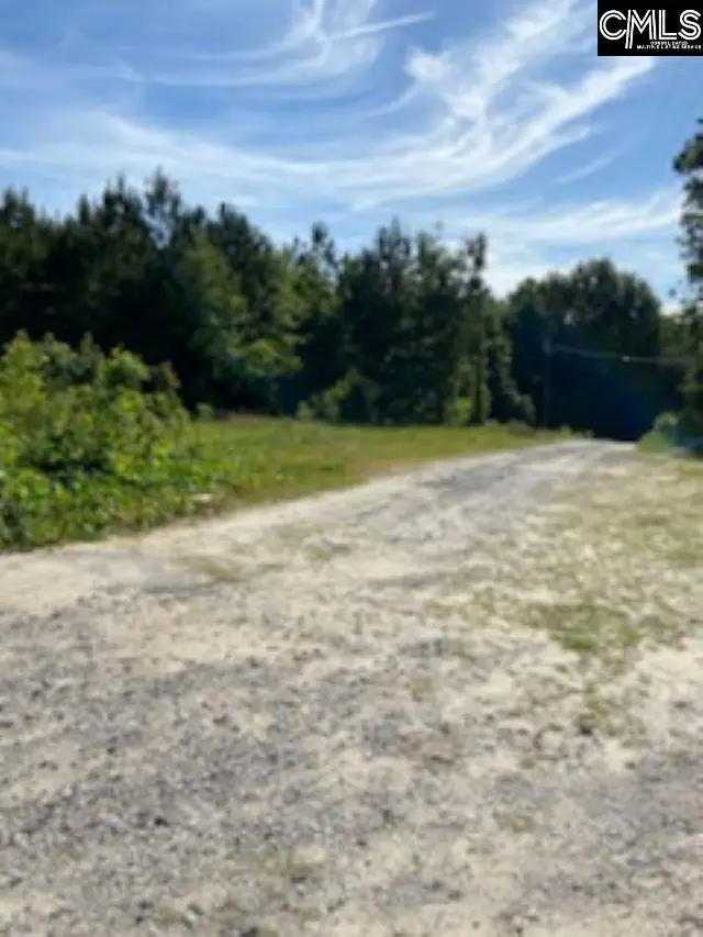 0 Hwy 321, Gaston, SC 29053 - Image #2