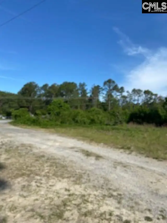 0 Hwy 321, Gaston, SC 29053 - Image #3