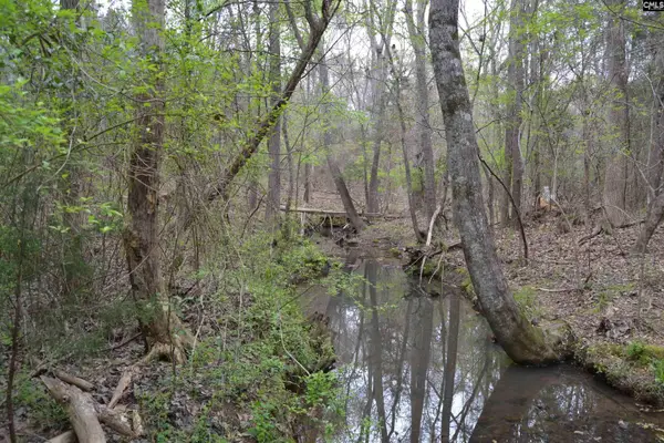 1309 Farming Creek Road, Irmo, SC 29063