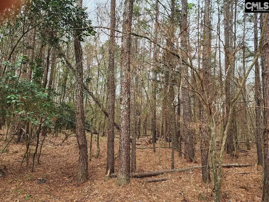 W on Giff Street, Newberry, SC 29108 - Image #3