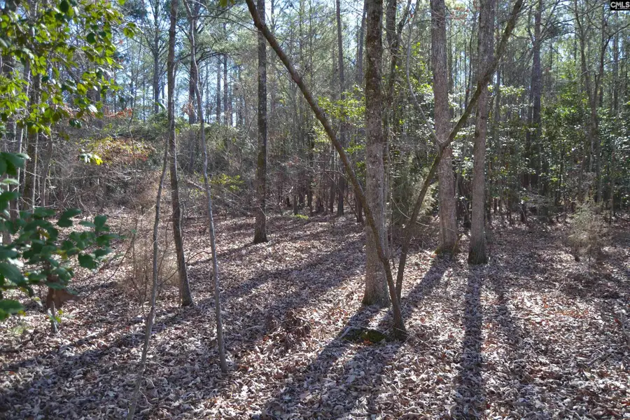 4051 Hard Scrabble Road, Columbia, SC 29223 - Image #2