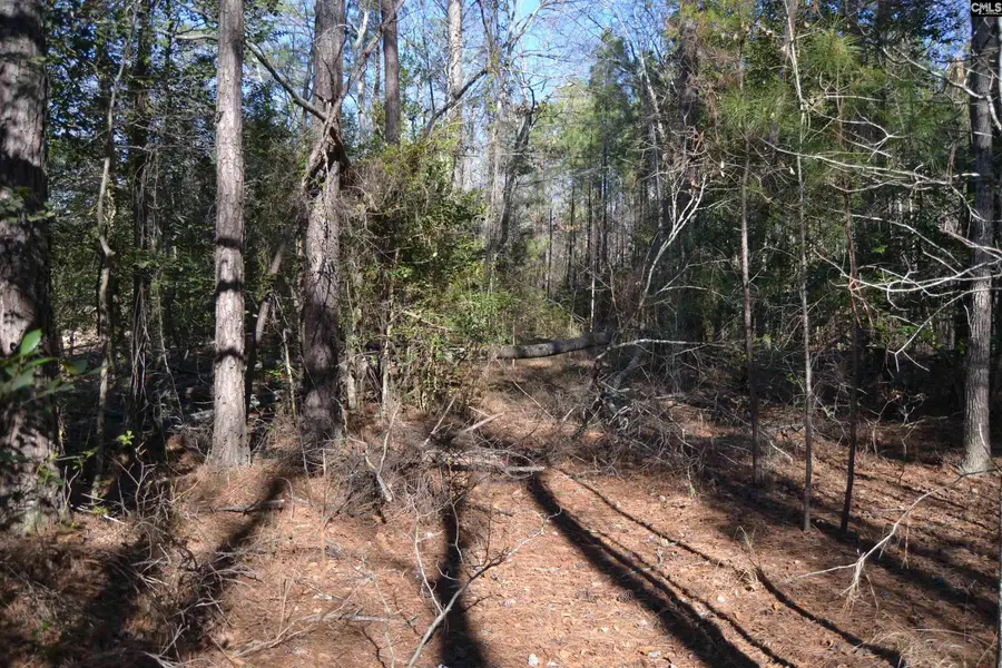 4051 Hard Scrabble Road, Columbia, SC 29223 - Image #3