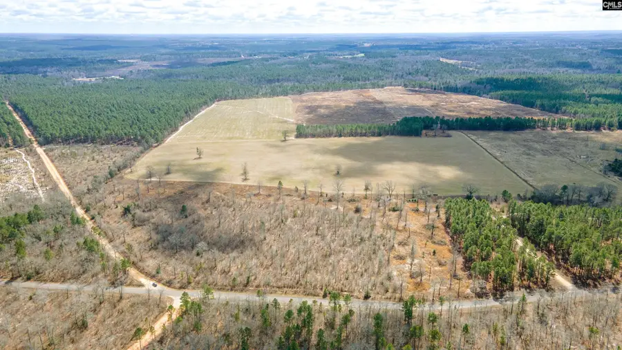 TBD Browns Pond Road, Wagener, SC 29164 - Image #2