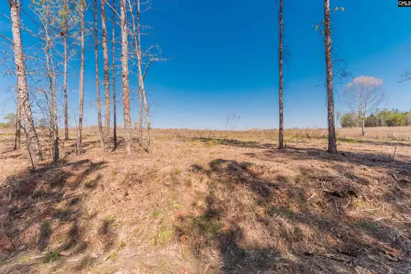 Duncan Road, Batesburg, SC 29006