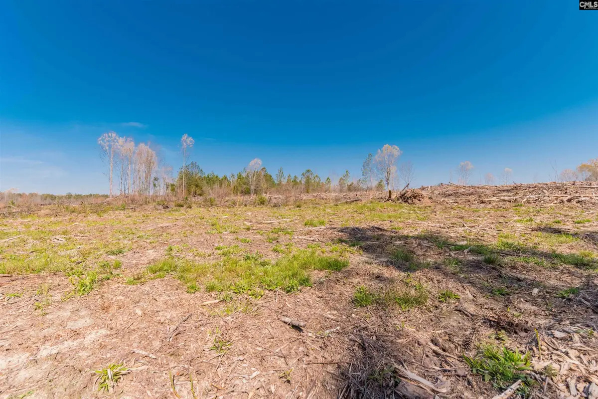 Duncan Road, Batesburg, SC 29006 - Image #1