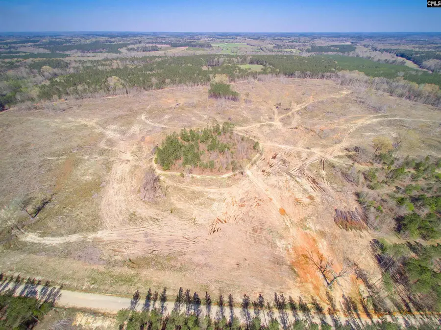 Duncan Road, Batesburg, SC 29006 - Image #3