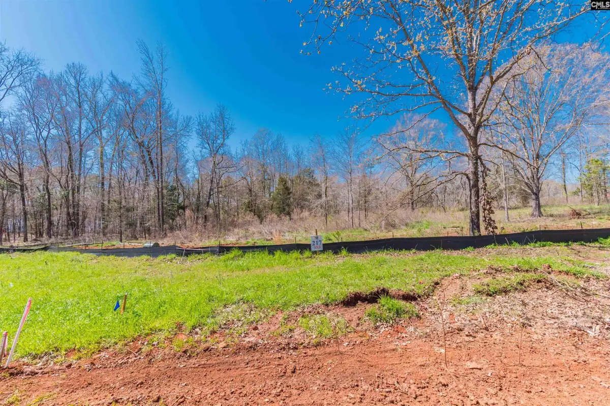 0 Lands End Lane, Prosperity, SC 29127 - Image #1