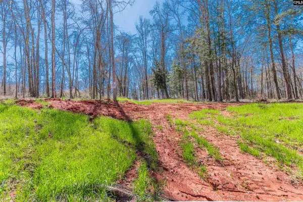 0 Bridge View Court, Prosperity, SC 29127