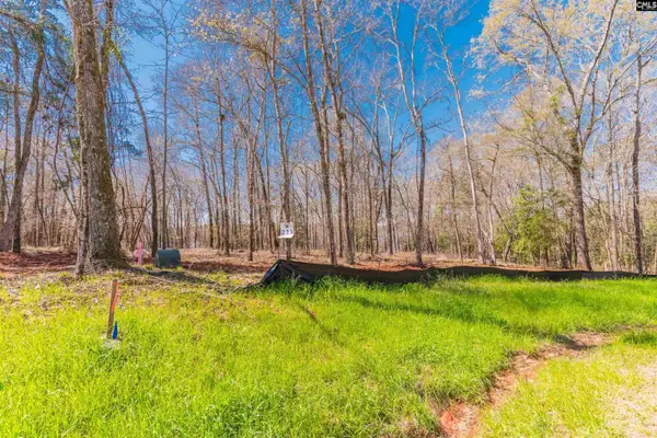 0 Bridge View Court, Prosperity, SC 29127