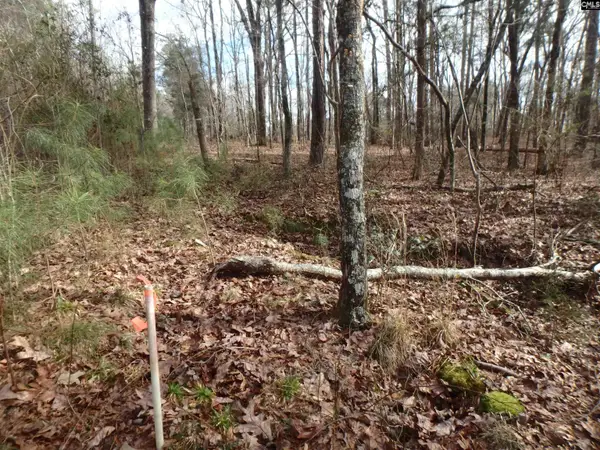 0 Amicks Ferry Road, Chapin, SC 29036