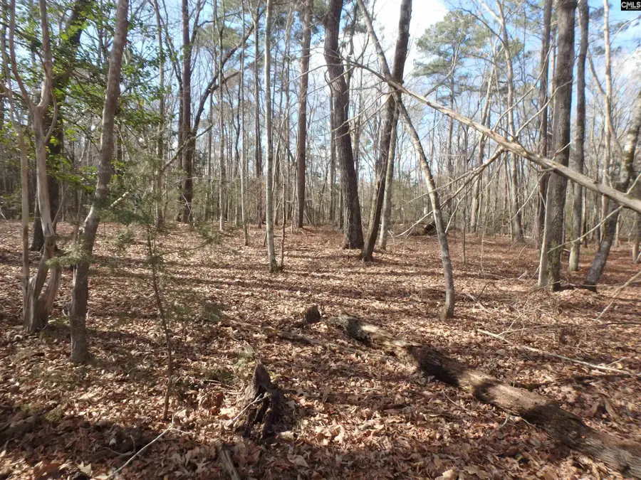 0 Amicks Ferry Road, Chapin, SC 29036 - Image #2