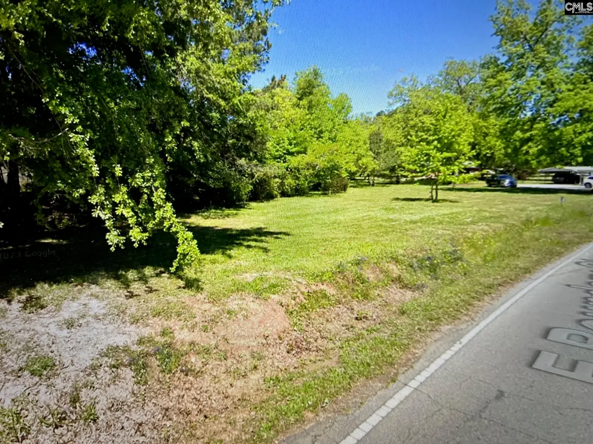 East Boundary Street, Chapin, SC 29036 - Image #1