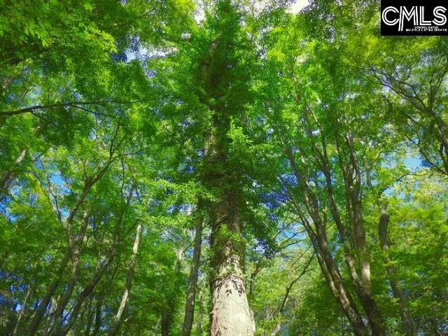 308A Lloydwood Drive, West Columbia, SC 29172 - Image #1