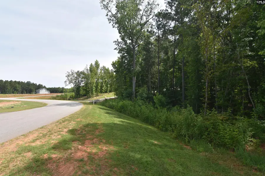 0 Longview Drive, Leesville, SC 29070 - Image #3