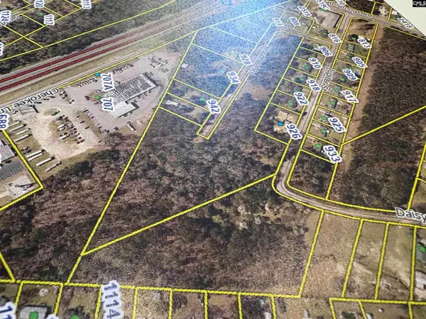 TBD Woodfield, Jupiter & Daisey Track, West Columbia, SC 29169