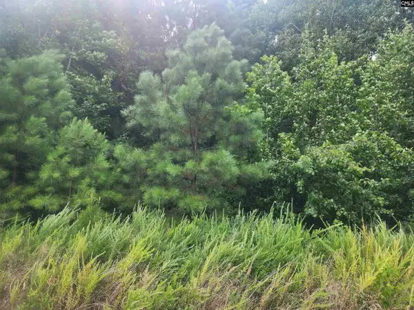 Forest Ridge Drive, Newberry, SC 29108