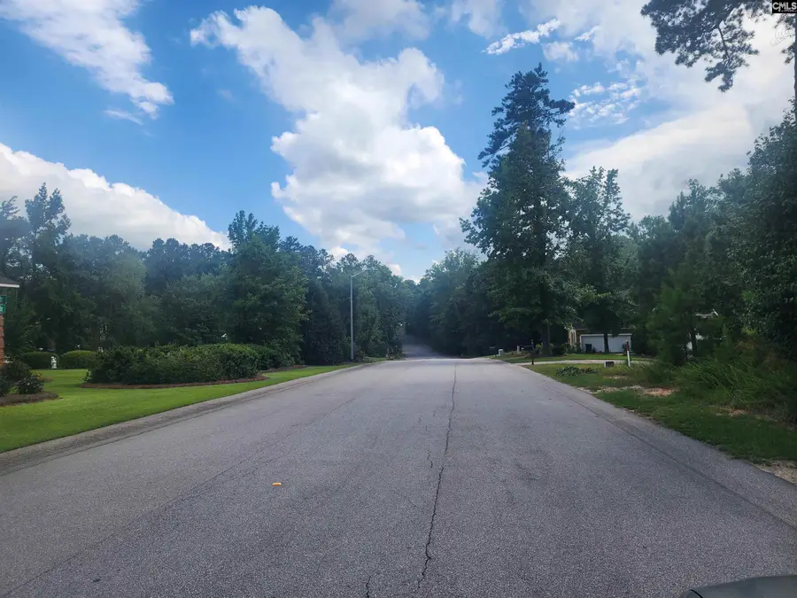 Forest Ridge Drive, Newberry, SC 29108 - Image #3