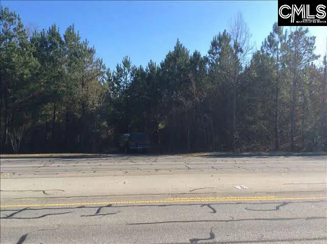 0 Highway 302 Highway, West Columbia, SC 29170 - Image #2