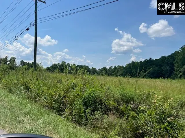 711 Longtown, Columbia, SC 29229 - #2