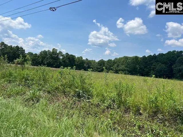 711 Longtown, Columbia, SC 29229 - #3