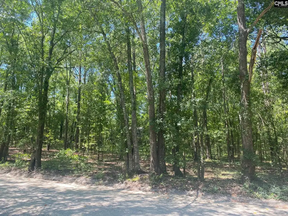 0 Mathias Road, West Columbia, SC 29169 - Image #1