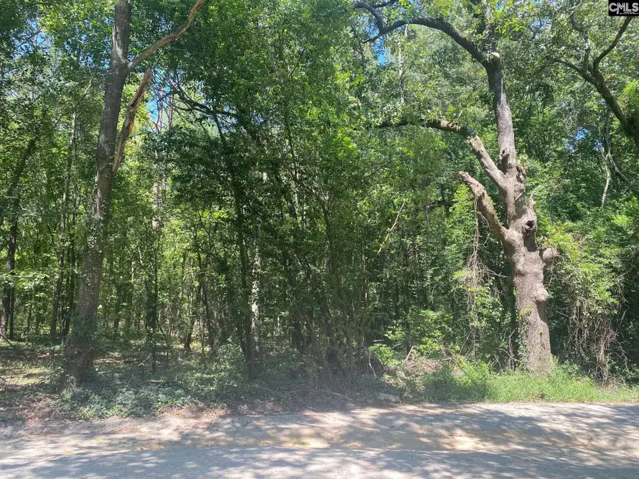 0 Mathias Road, West Columbia, SC 29169 - Image #2