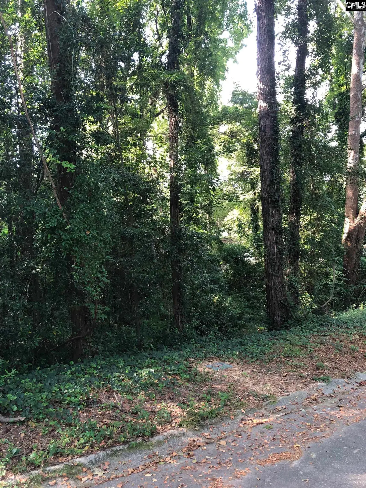 167 Waterford Drive, Columbia, SC 29203 - Image #1