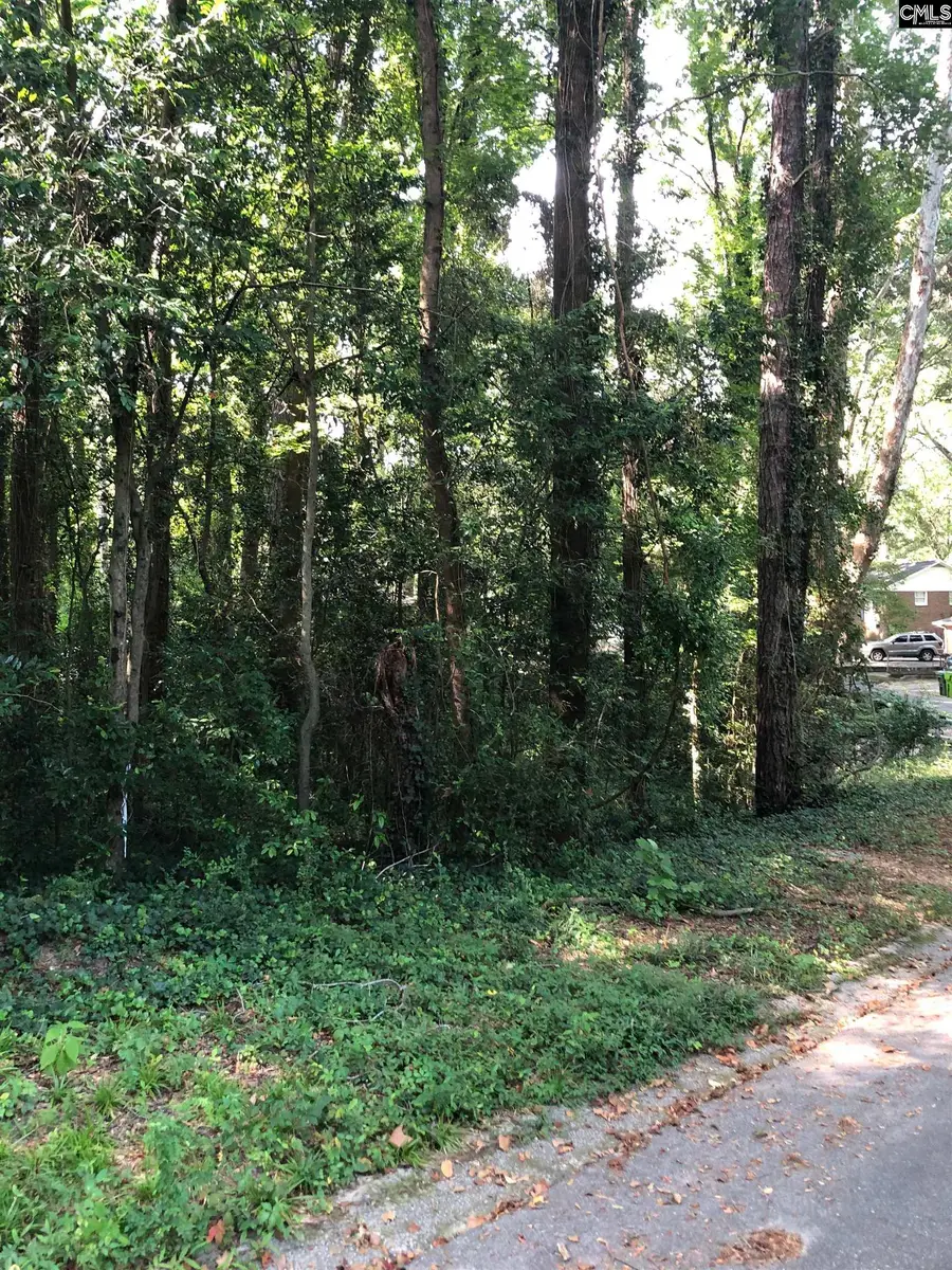 167 Waterford Drive, Columbia, SC 29203 - Image #2