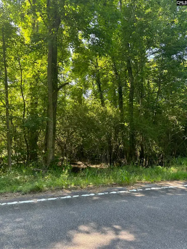 0 Black River Road, Rembert, SC 29128