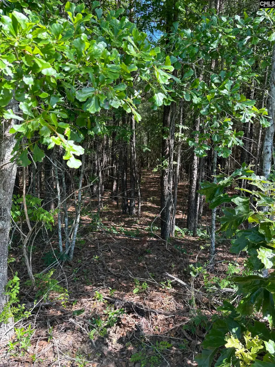 0 Black River Road, Rembert, SC 29128 - Image #2