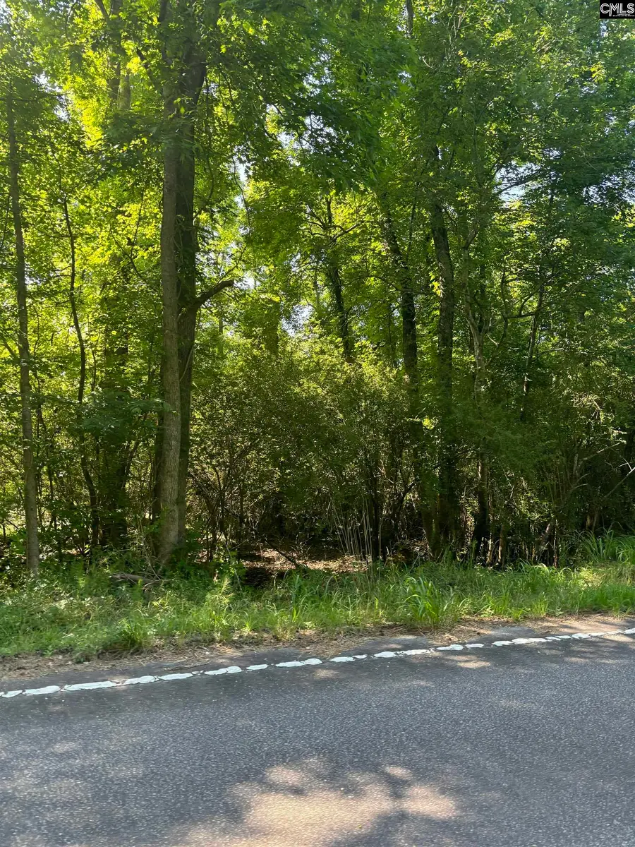0 Black River Road, Rembert, SC 29128 - Image #2