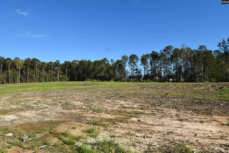 Lot 4 Gold Nugget Point, Prosperity, SC 29127 - Image #2