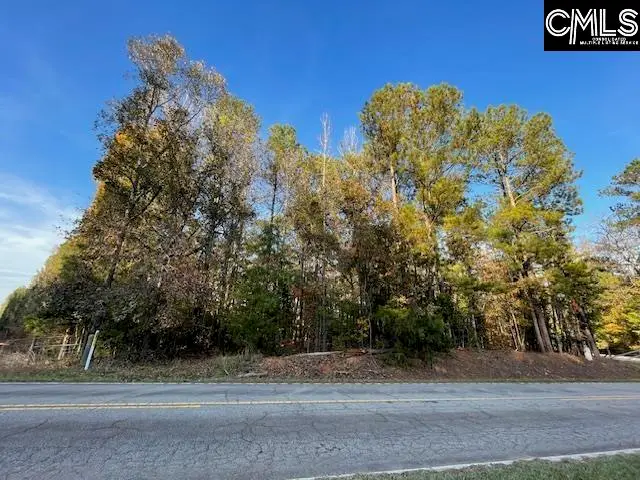 1620 Wash Lever Road, Little Mountain, SC 29075 - Image #1