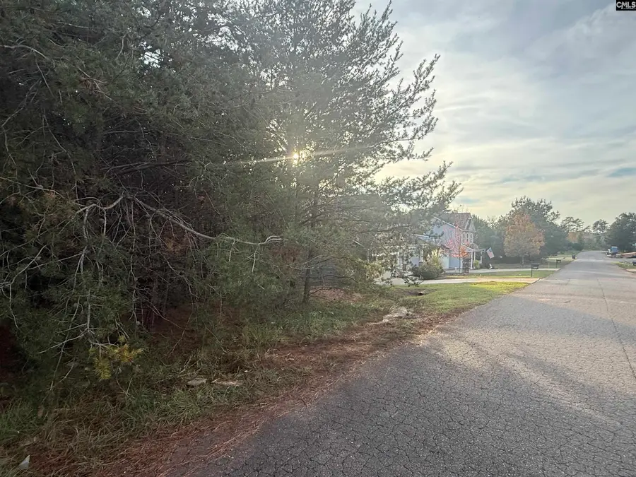 10153 Lakeshore Drive, Lancaster, SC 29720 - #3