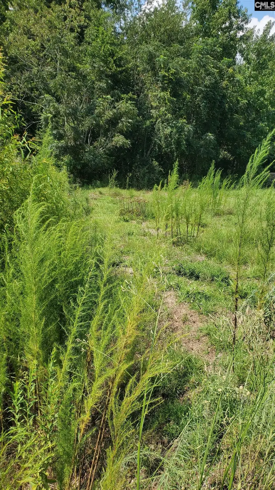 Ardis Road, Pinewood, SC 29125 - Image #2