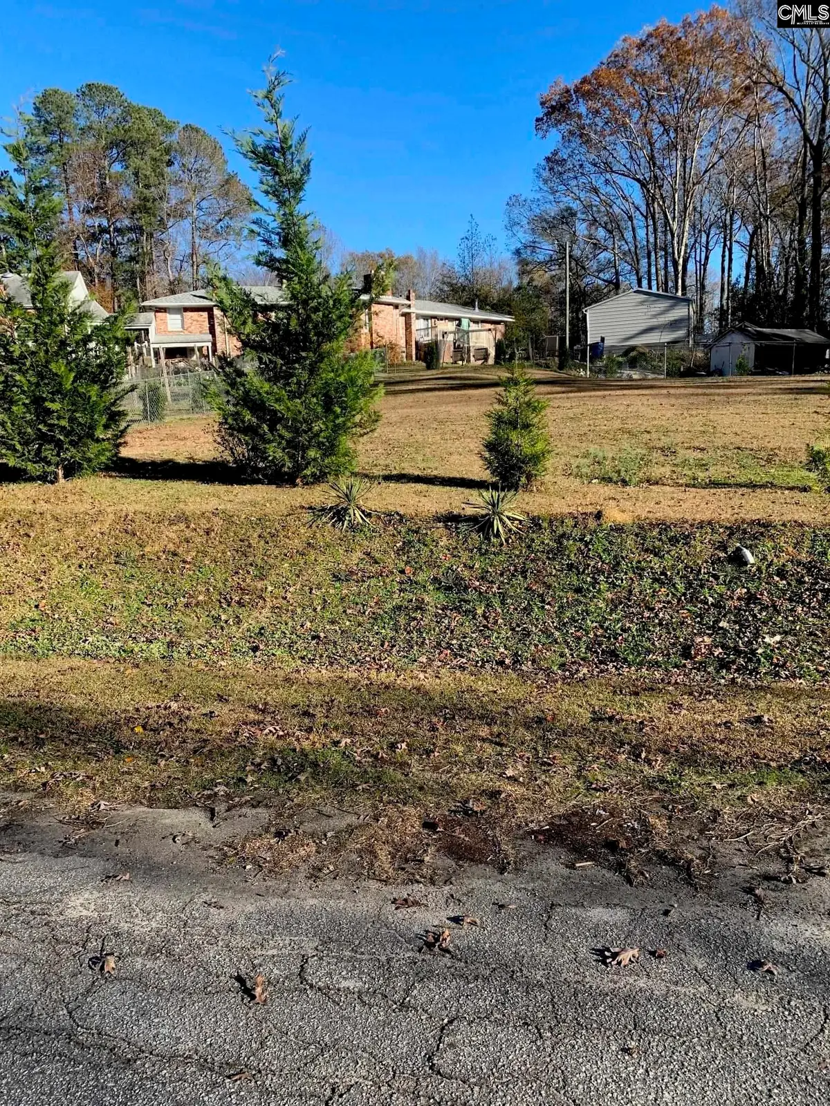 00 Olive Branch Terrace, Batesburg, SC 29006 - Image #1